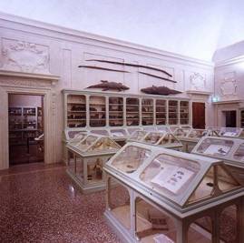 image004_23.jpg