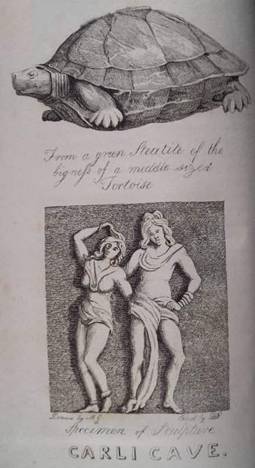 image012_2.jpg